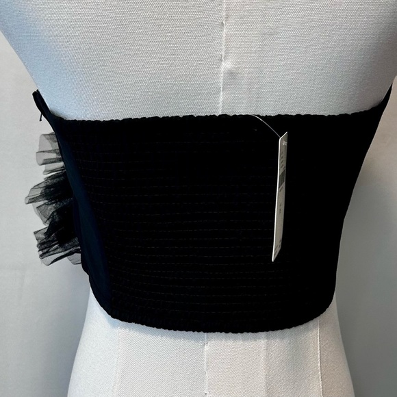 Ranna Gill Black Balletcore Whimsigoth Tulle Ruffle Tube Top Size XS - Picture 4 of 11